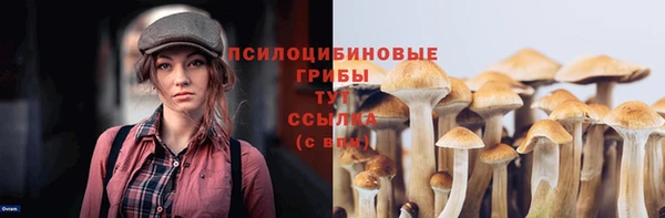 мяу мяу кристалл Бородино