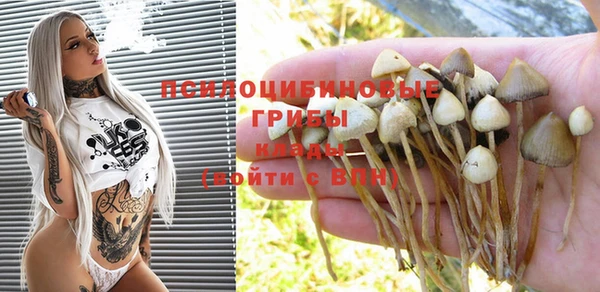 мяу мяу кристалл Бородино