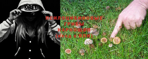 мяу мяу кристалл Бородино