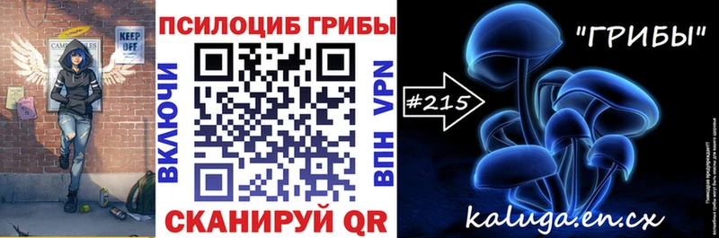 Псилоцибиновые грибы Cubensis  Купить где  Хадыженск 