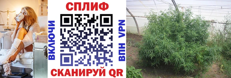 Купить  Хадыженск  Канабис Ganja 